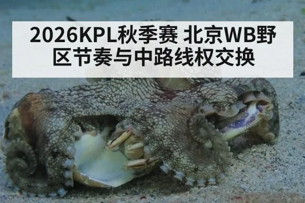 2026KPL秋季赛 北京WB野区节奏与中路线权交换